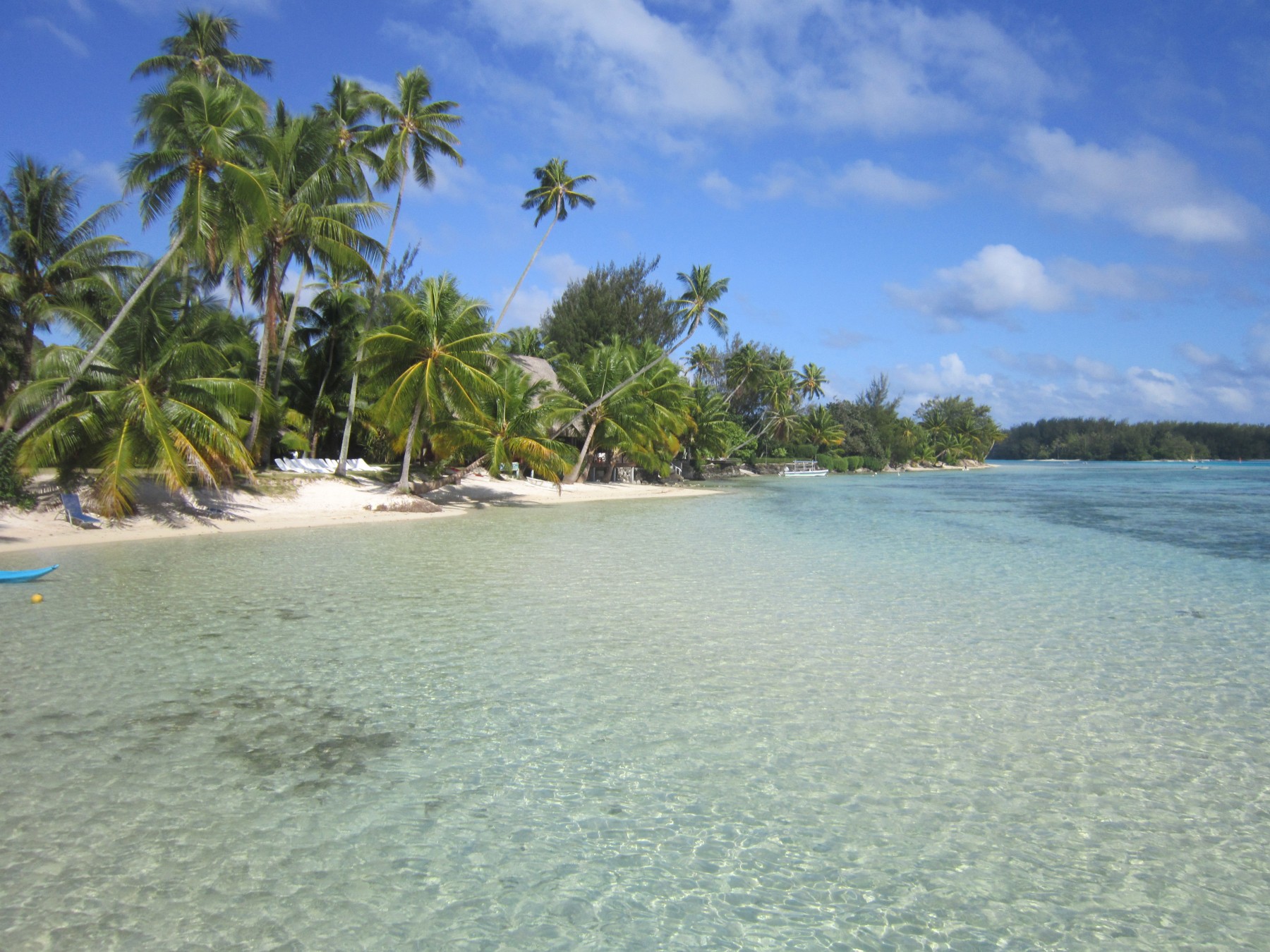 Pension Les Tipaniers